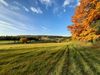 Gewinnermotiv des Fotowettbewerbs „Wald, Wärme, Leben“