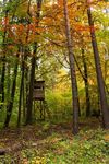 Gewinnermotiv des Fotowettbewerbs „Wald, Wärme, Leben“