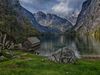 Gewinnermotiv des Fotowettbewerbs „Wald, Wärme, Leben“